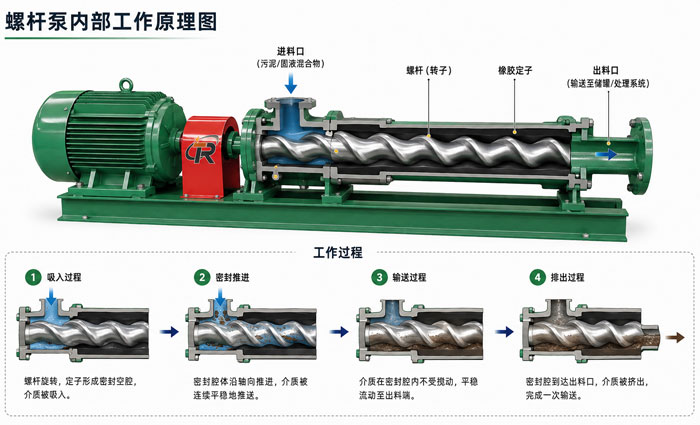 螺杆泵工作原理图 螺杆泵工作原理图